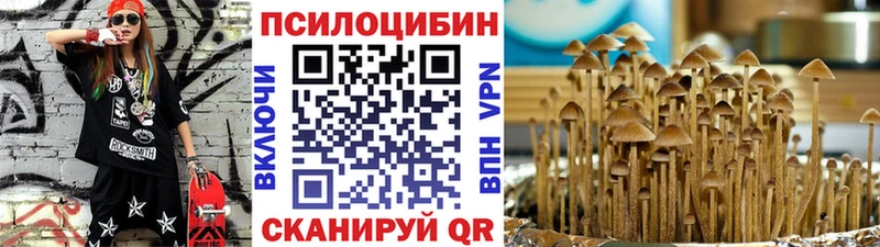 Псилоцибиновые грибы прущие грибы  нарко площадка какой сайт  Агидель 
